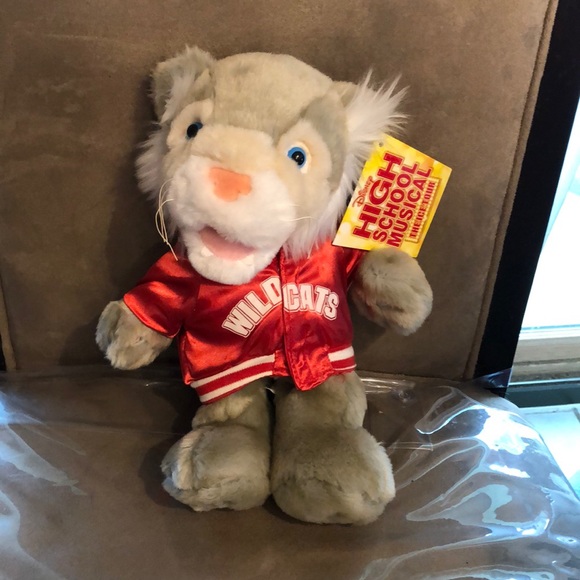 Disney Other - High School Musical Bear, The Ice Tour 🐻